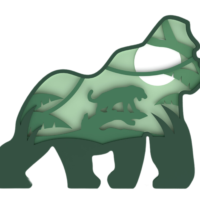 Gorilla