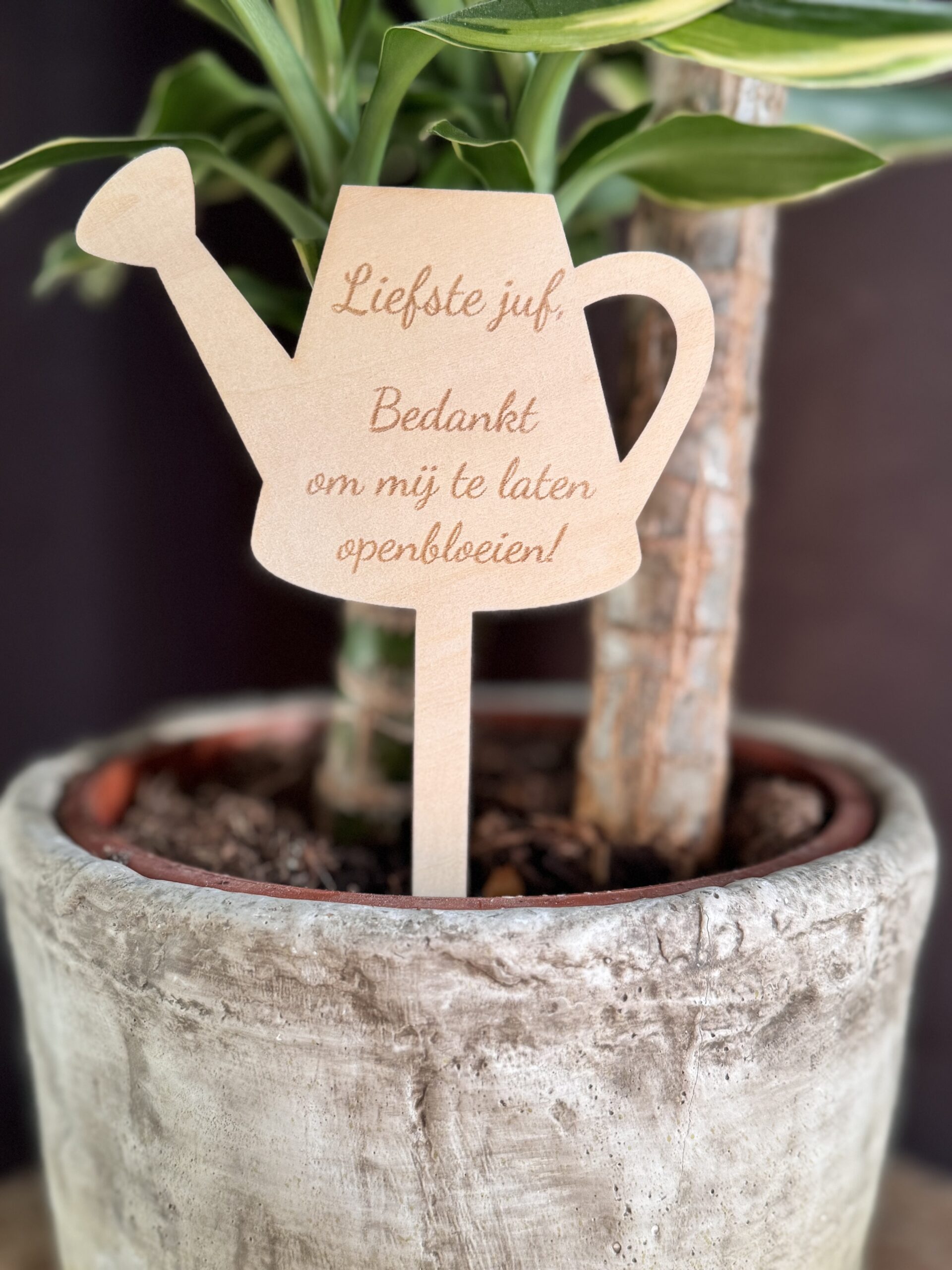 Plantenprikker 'gietertje' voor de liefste juf - Afbeelding 2