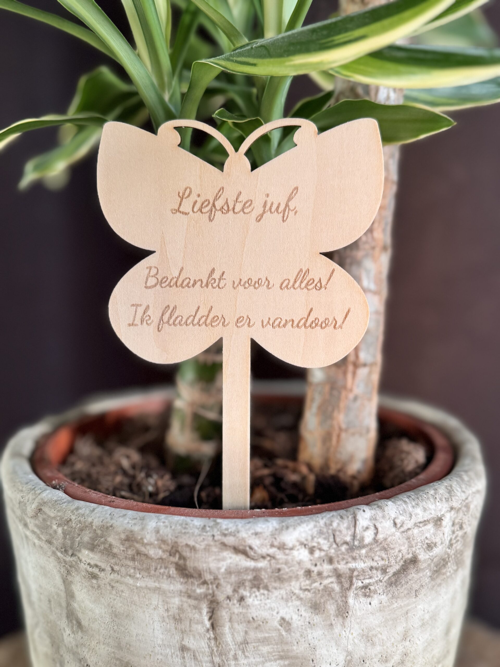 Plantenprikker 'vlindertje' voor de liefste juf - Afbeelding 2