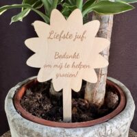 Plantenprikker ‘bloemetje’ voor de liefste juf