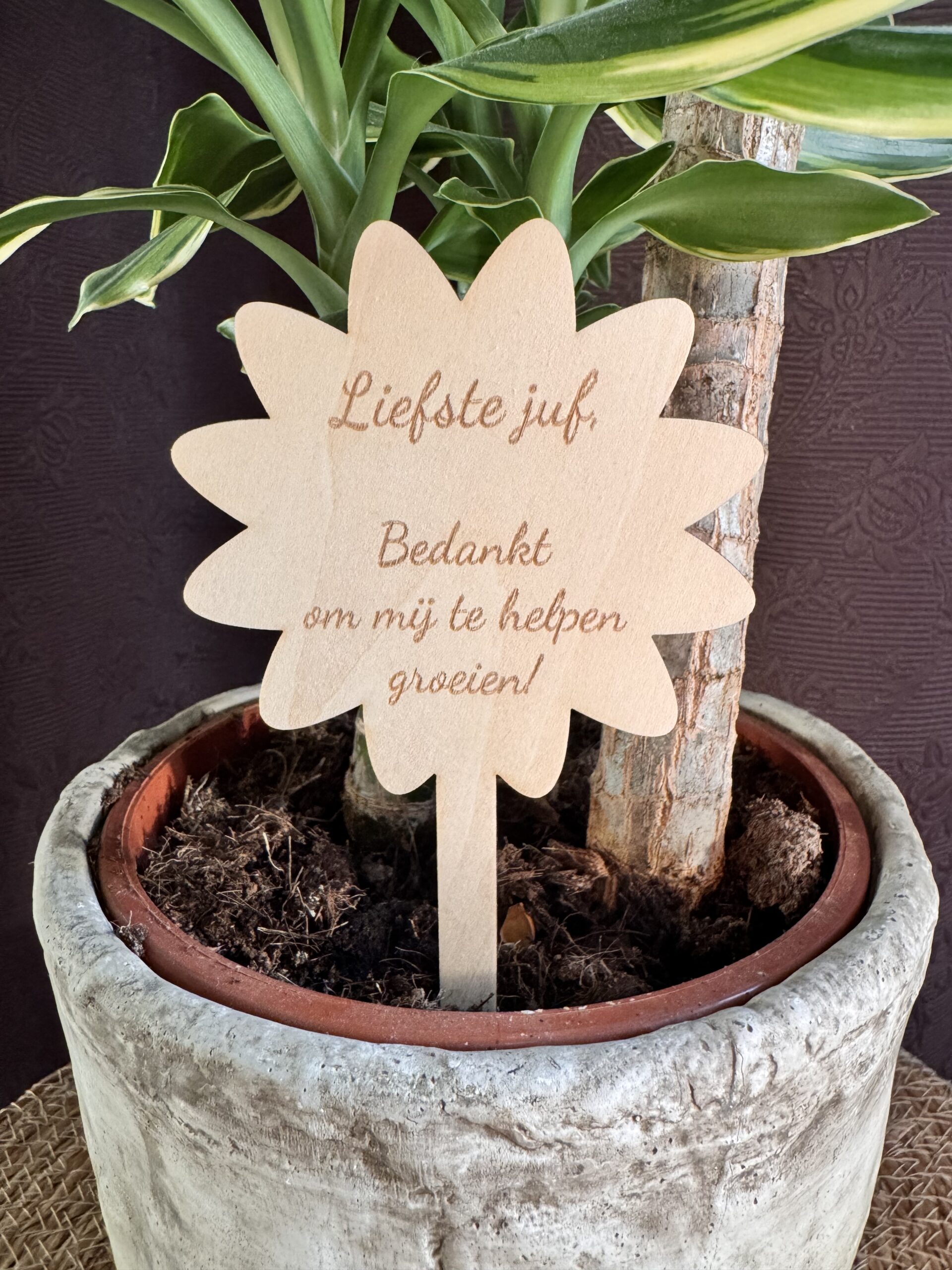 Plantenprikker 'bloemetje' voor de liefste juf - Afbeelding 2